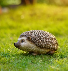 Jardin Polyresin Animal - Hedgehog