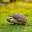 Jardin Polyresin Animal - Hedgehog