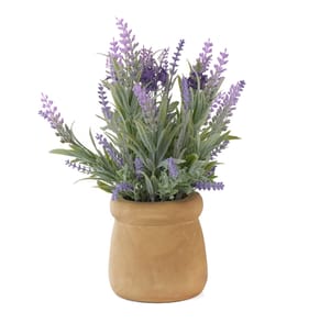 Lavender In Wooden Pot