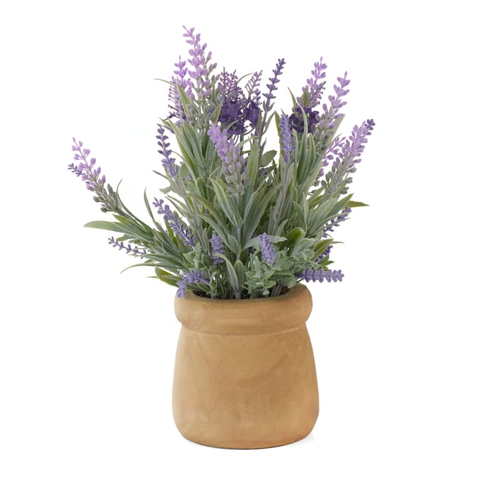 Lavender In Wooden Pot