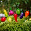Jardin Assorted Vegetable Pot Stakes x4