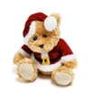 Festive Fun Christmas Bear