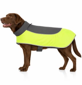  My Pets Reflective Dog Coat Neon Yellow  - XS  