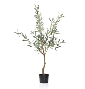 Home Collections Olive Tree 120cm