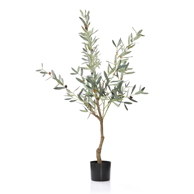 Home Collections Olive Tree 120cm