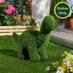 Jardin Artificial Grass Dinosaur