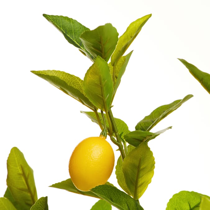 The Outdoor Edit Mediterranean Artificial Lemon Tree