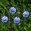 Firefly LED Solar Light 4 Pack