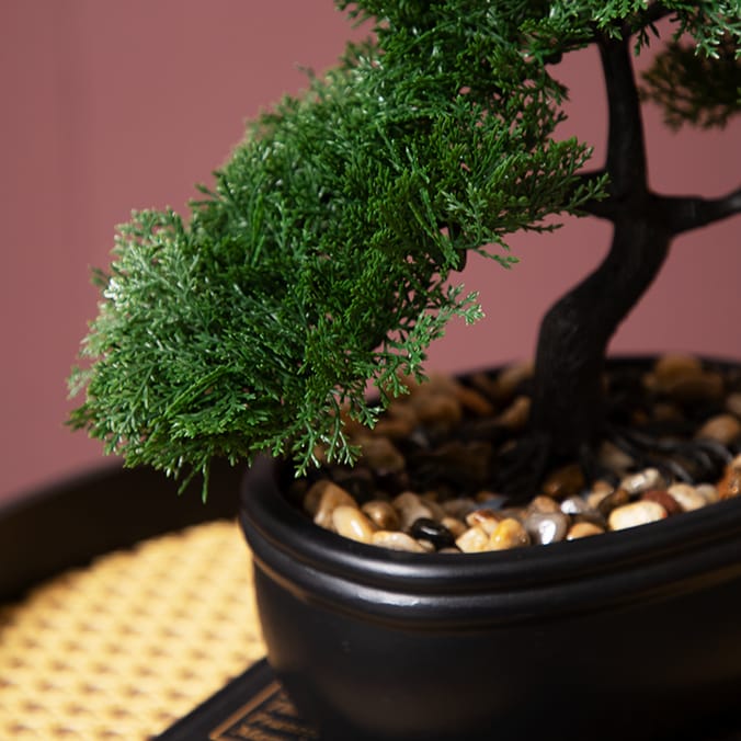 Ports Of Call Faux Bonsai Tree In Black Pot