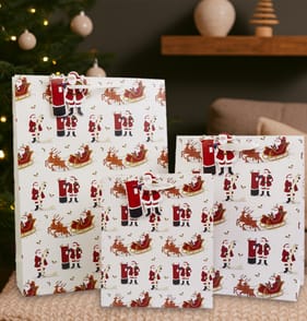 Festive Feeling Gift Bag Set - Santa