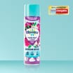 Bloomz Foaming Bathroom Mousse 500ml - Twilight Oasis