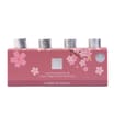 Wickford & Co Scented Refresher Oils 4 Pack - Cherry Blossom