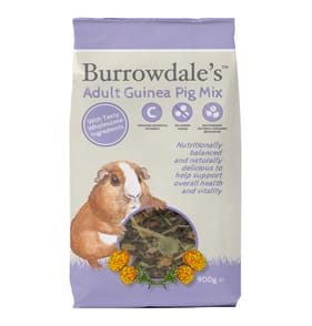 Burrowdales Adult Guinea Pig Mix 900g