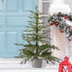 Festive Feeling - Potted Christmas Tree 3ft - Green