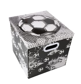 Top Score Storage Box