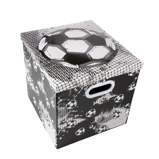 Top Score Storage Box