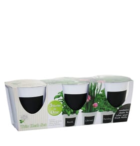 G-Plants Indoor Flavours Trio Herb Set