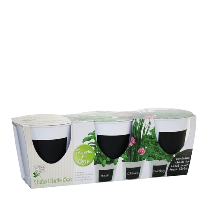 G-Plants Indoor Flavours Trio Herb Set