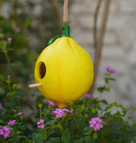  Jardin Polyresin Fruit Bird House - Lemon