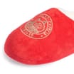 The Polar Express Mens Red Slippers