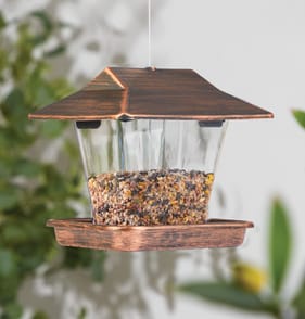 Wild Garden Bird House Feeder
