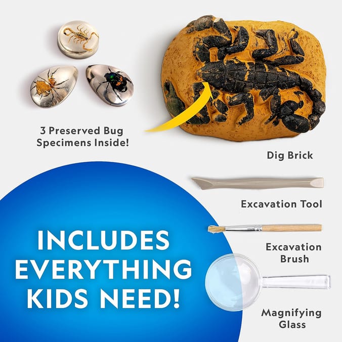 National Geographic Real Bug Dig Kit