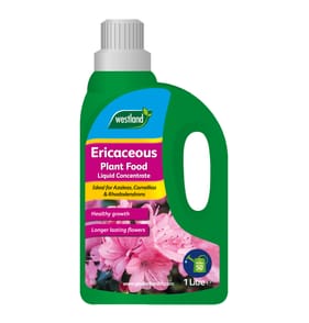 Westland Ericaceous Plant Food 1l