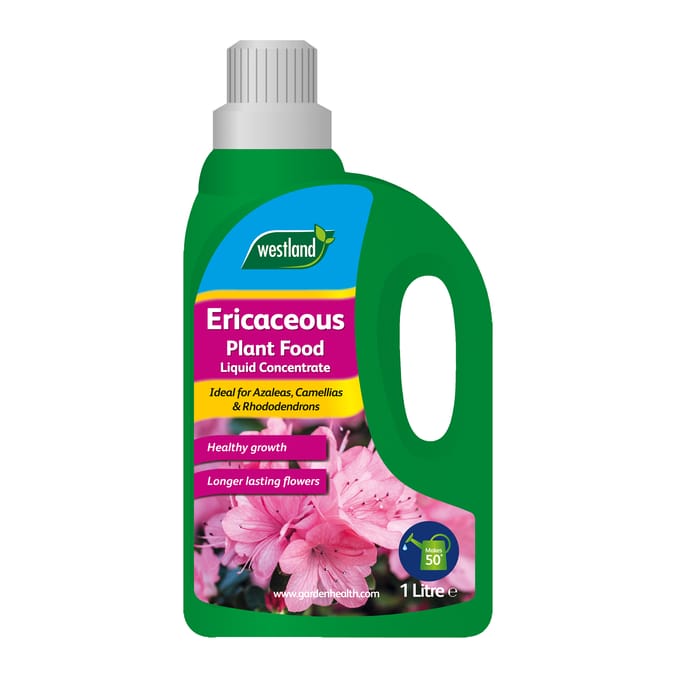 Westland Ericaceous Plant Food 1l