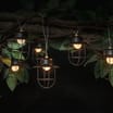Firefly 10 Metal Cage String Lights