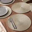 Home Collections Woven Placemats Pack Of 4