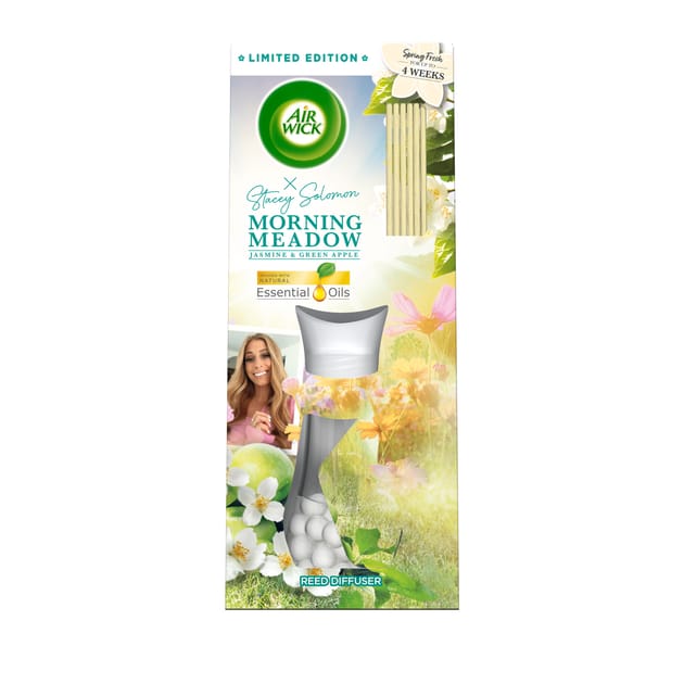 Air Wick Reed Diffuser Gingerbread Air Wick Morning Meadow Reed Diffuser 25ml | Home Bargains