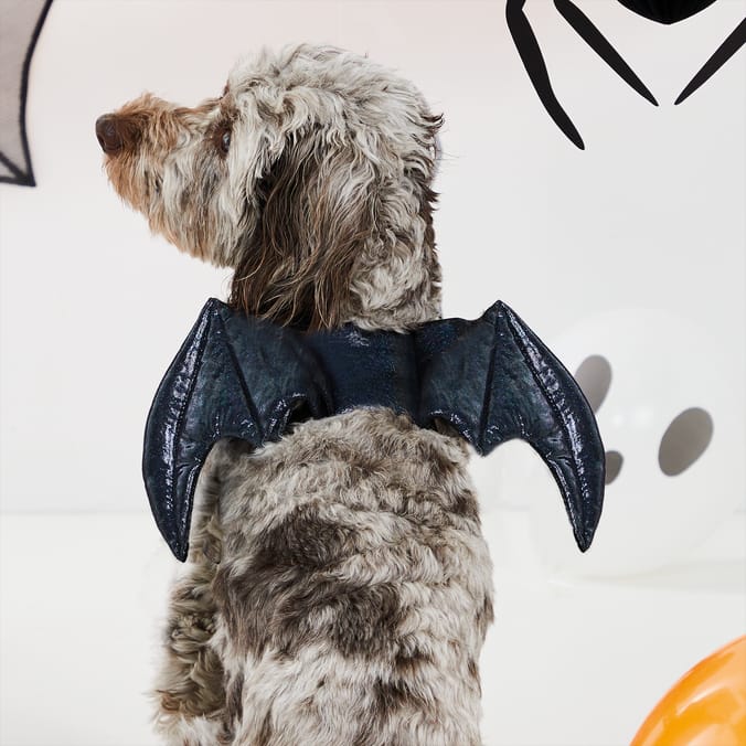 My Pets Halloween Pet Dress-up Batwings