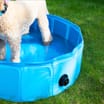 My Pets Pet Paddling Pool - One Size