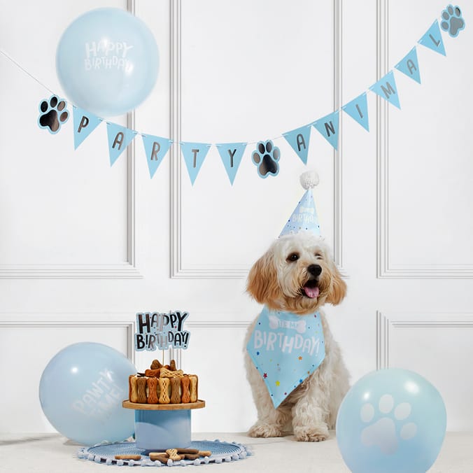 Home bargains pet accessories store