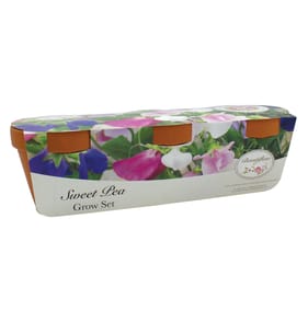 Beautifleur Sweet Pea Trio Grow Set