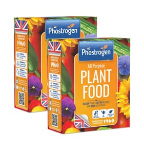 Phostrogen All Purpose Plant Food 400g x2