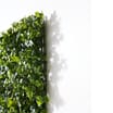 Jardin Artificial Foliage Panel 50cm
