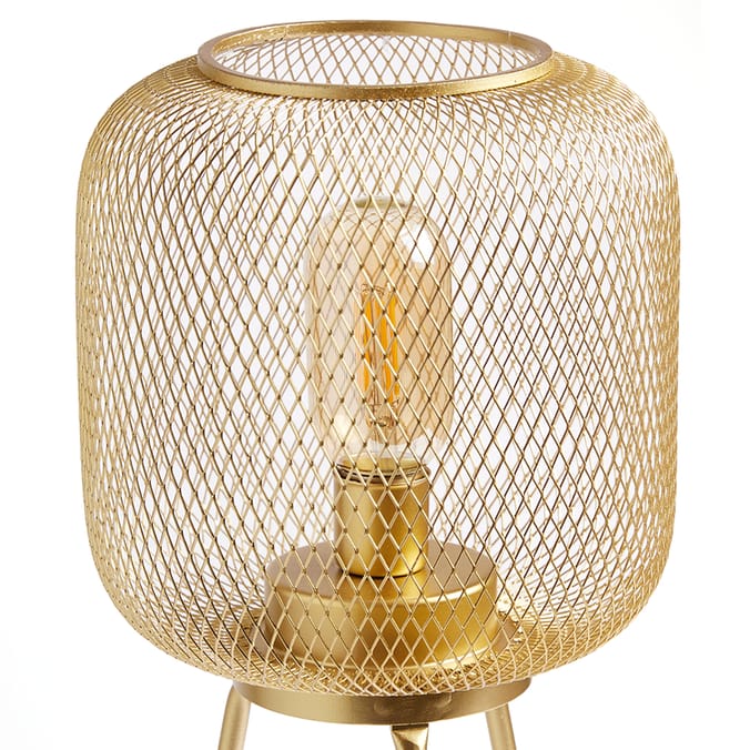 Home Collections: Mesh Standing LED Lamp - Gold