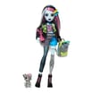 Monster High Doll with Pet & Accessories - Frankie Stein