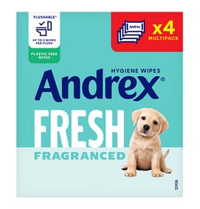 Andrex Fresh Moist Toilet Tissue Flushable Hygiene Wipes 30 Wipes x4