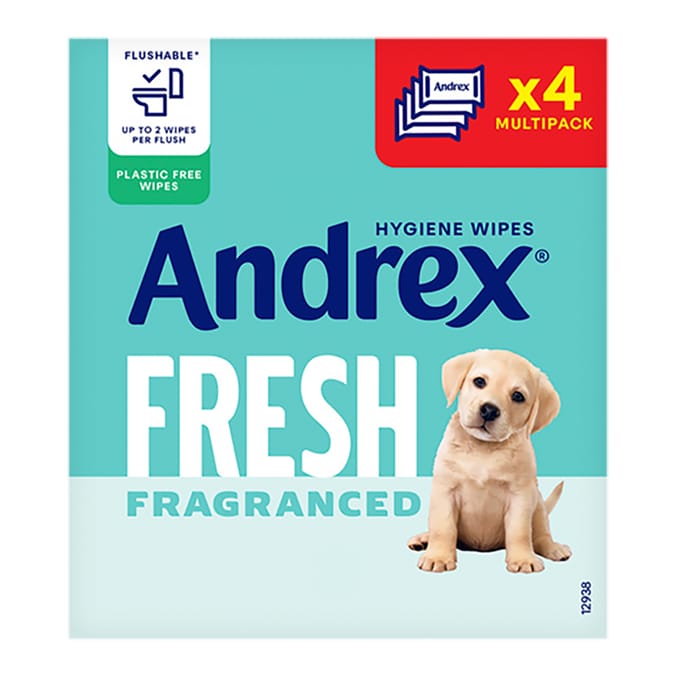 Andrex Fresh Moist Toilet Tissue Flushable Hygiene Wipes 30 Wipes x4