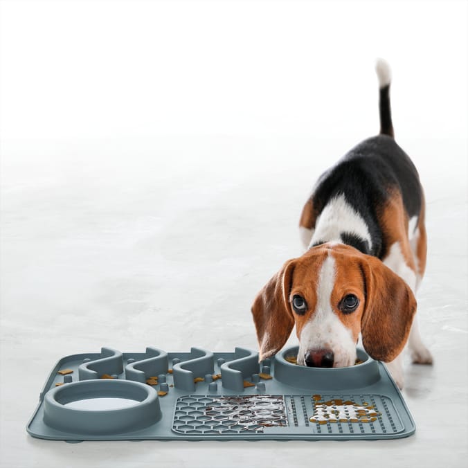 Home bargains dog bowls store