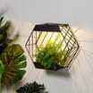 Firefly Hexagonal Wall Planter Solar Light