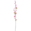 Home Collections Cherry Blossom Pick