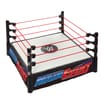 WWE Superstar Ring With Labels for Main Event & RAW
