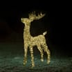 Prestige LED 110cm Reindeer