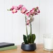 Home Collections Artificial Orchid Black Pot