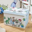 Toy Story Storage Chest    