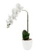 Home Collections Real Touch White Orchid in White Pot