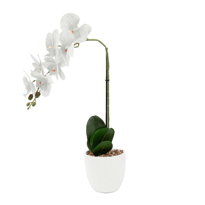 Home Collections Real Touch White Orchid in White Pot